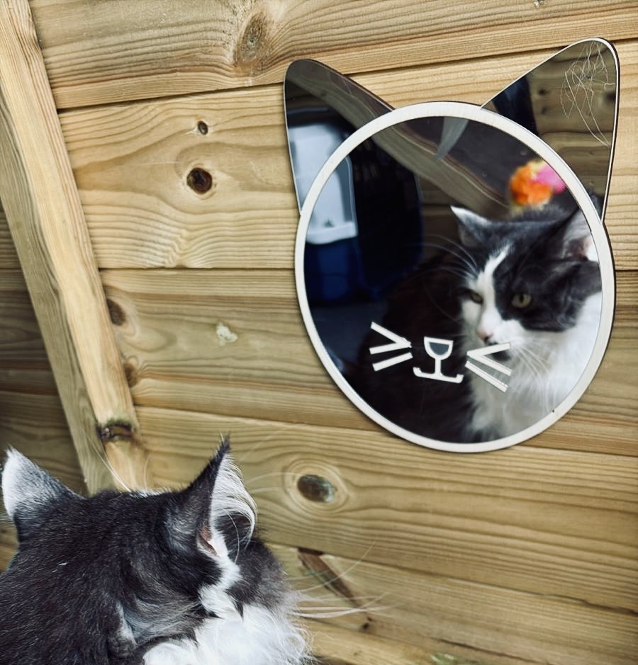 3736f031-fa0c-4b3c-88e7-f2f2b3500a90