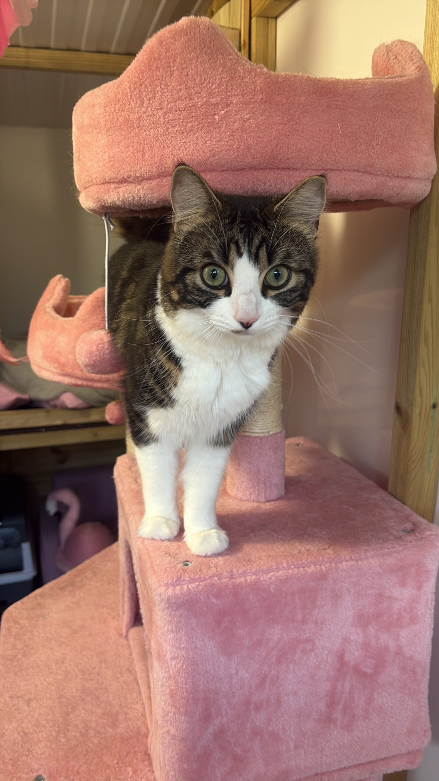 4B83D57D-7568-486A-8223-237915C7276A