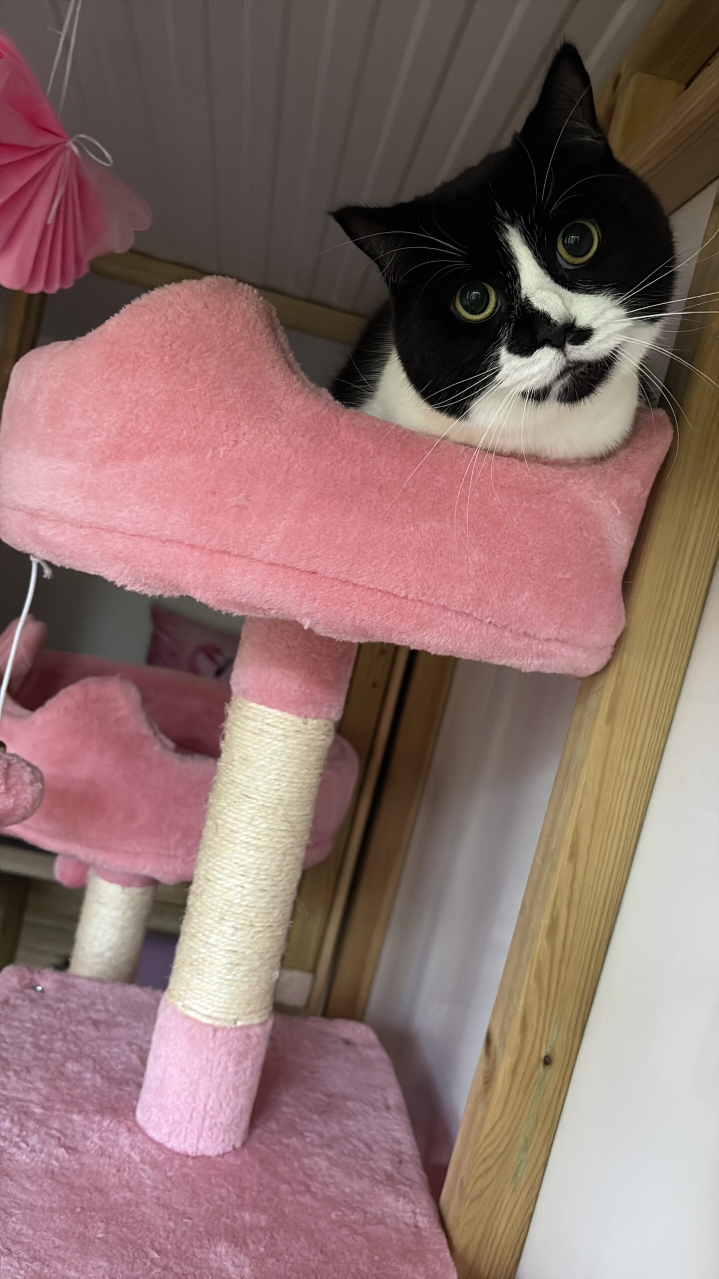 60919B4C-F436-4254-BB3A-7C9801B03088