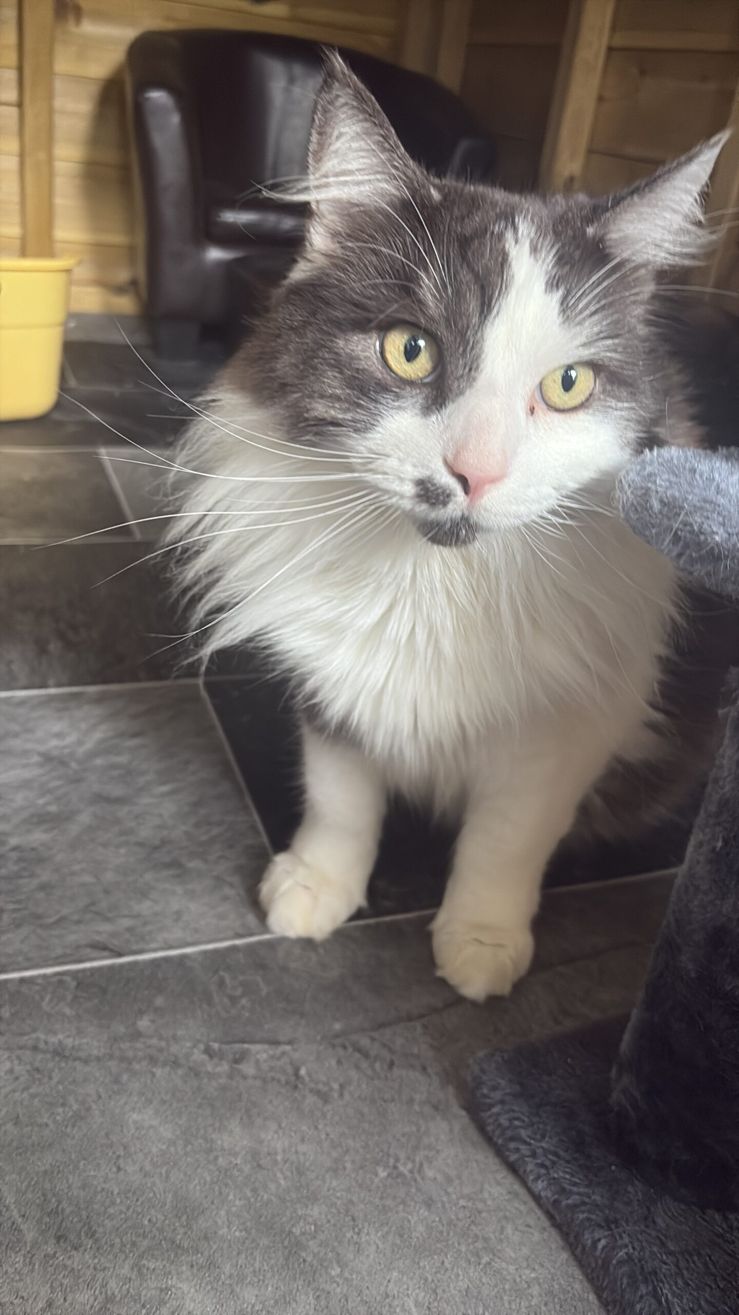 662AF8D5-D8C9-46DF-AAF4-E42403654F5D