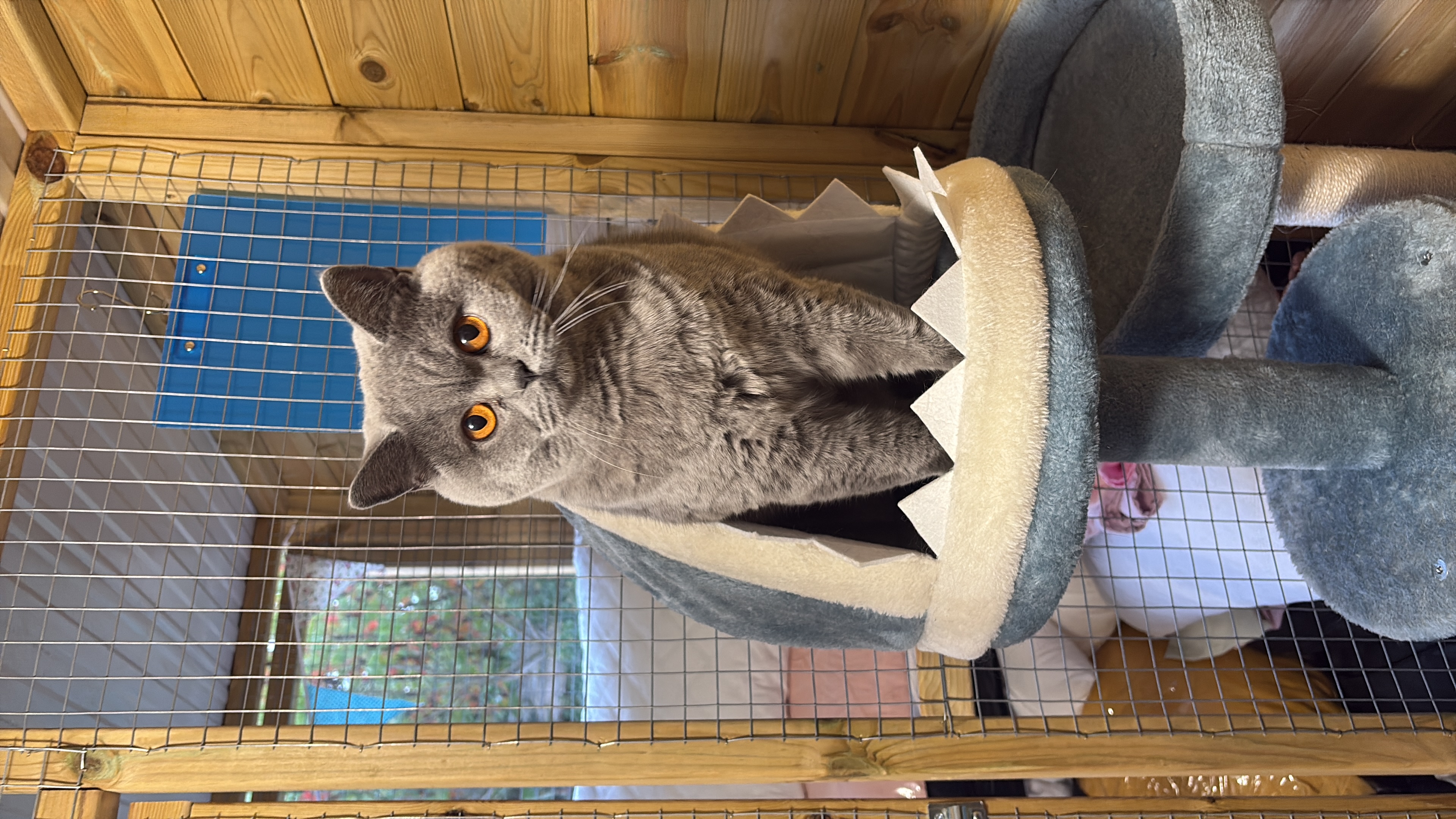 BB106C02-7A01-4834-85FE-C8F257D40932