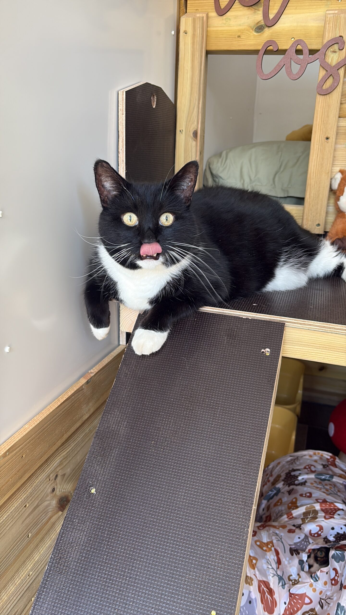 D0D586DC-66DC-4F58-B014-630B0050BC2F